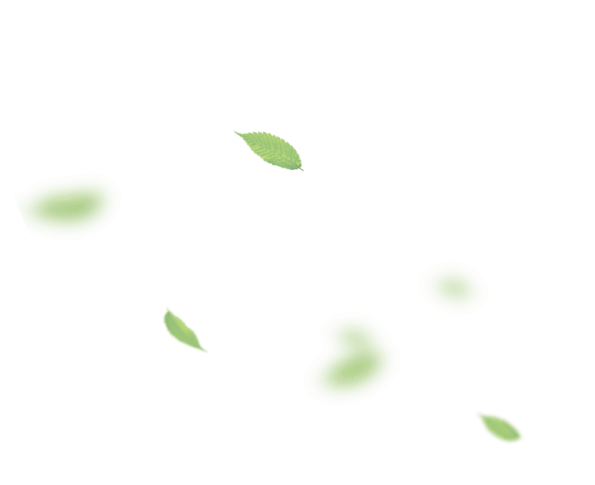 leaf6