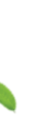 leaf1