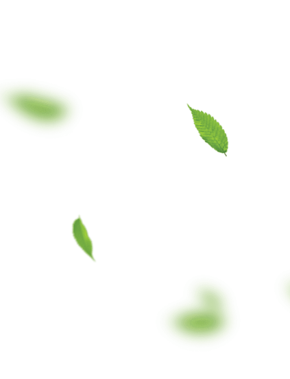 leaf1