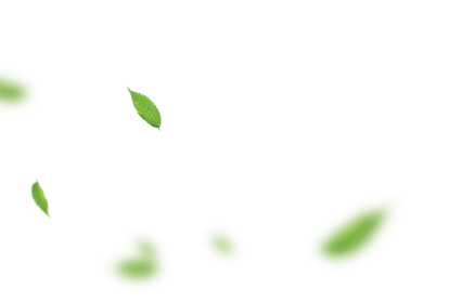 leaf1